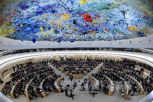Вьетнам принимает активное участие в работе Совета ООН по правам человека - ảnh 1